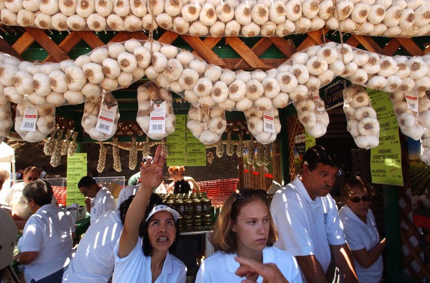  Después de la cancelación del Gilroy Garlic Festival, el nuevo California Garlic Festival tendrá su lugar en Stockton