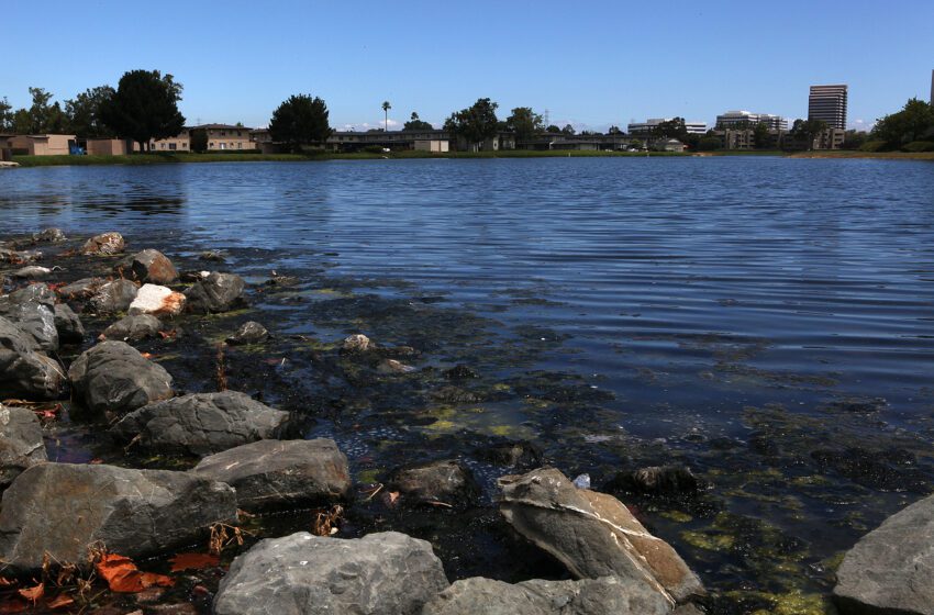  El condado de San Mateo tiene algunas de las playas más contaminadas de la costa oeste