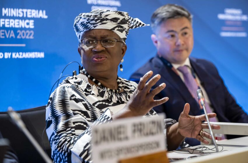  El jefe de la OMC ve un camino “lleno de baches” mientras los ministros trabajan para alcanzar acuerdos
