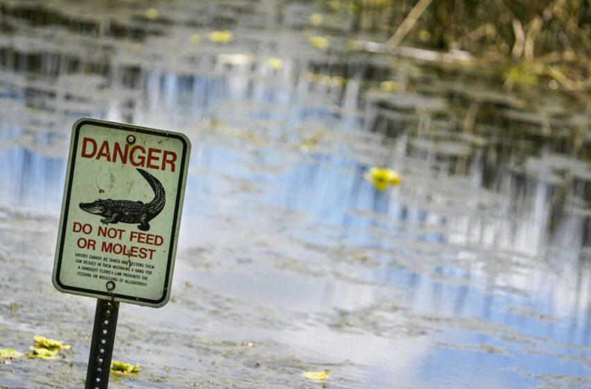  Hombre encontrado muerto en un lago lleno de caimanes cerca del campo de disc golf
