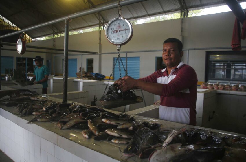  La desaparición de una pareja en el Amazonas brasileño está vinculada a la “mafia del pescado