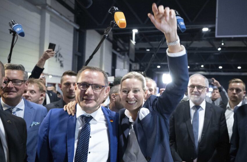  La ultraderecha alemana elige nuevos líderes tras la renuncia de su copresidente