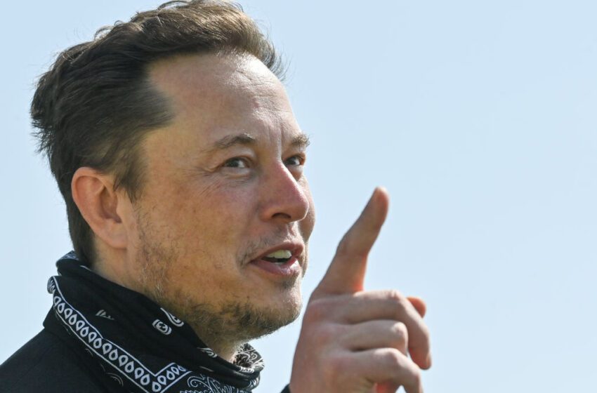 Los trabajadores de SpaceX califican a Elon Musk de “vergüenza” en una carta abierta filtrada