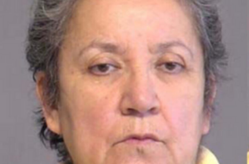  Una mujer de Arizona admite su culpabilidad en la trama de recogida de papeletas