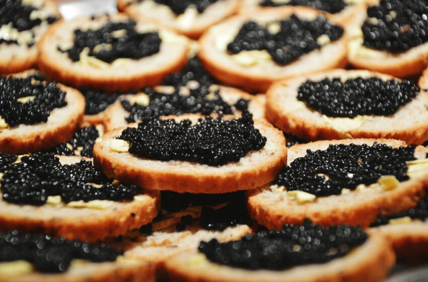  8 arrestos realizados en la investigación del mercado negro de caviar del Área de la Bahía