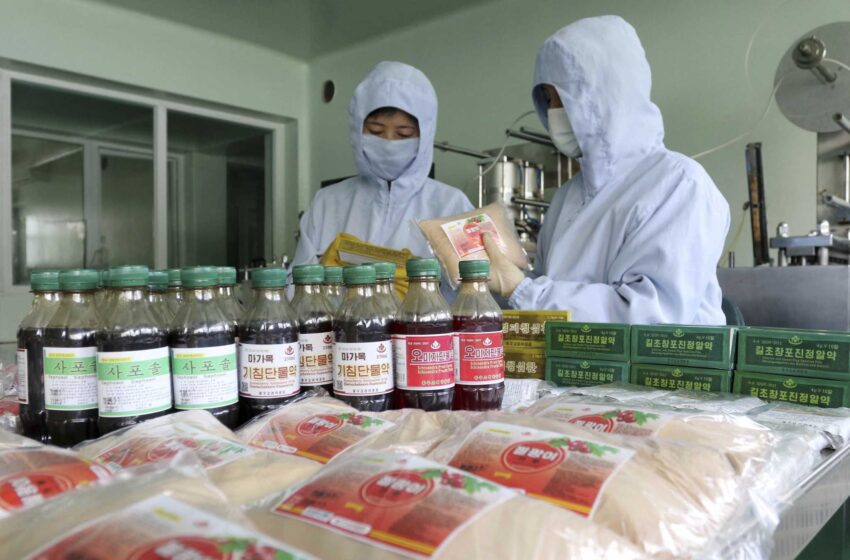  Corea del Norte impulsa la medicina tradicional para combatir el COVID-19