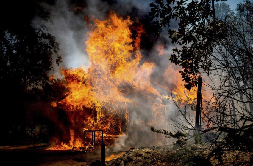  El gobernador declara la emergencia por el incendio forestal cerca de Yosemite