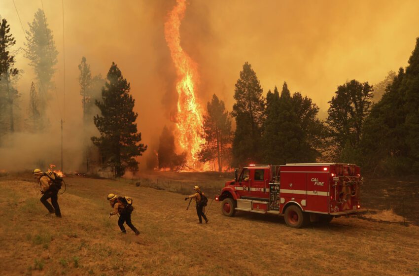  El incendio del roble cerca de Yosemite pasa de 1.600 a 11.900 acres en un día