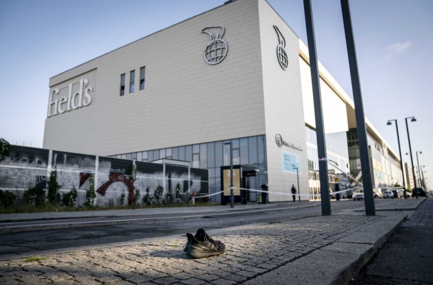  Es probable que el motivo del “brutal” tiroteo en Dinamarca no esté relacionado con el terrorismo