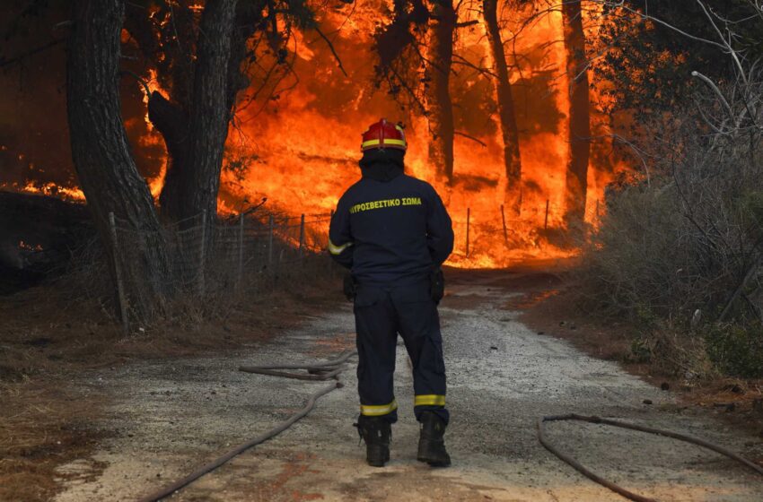  Grecia lucha contra 4 grandes incendios forestales; hoteles y casas evacuadas