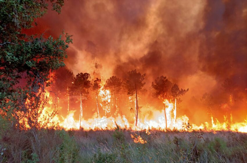  Las llamas de Burdeos se extienden, el piloto de los bomberos muere en Portugal