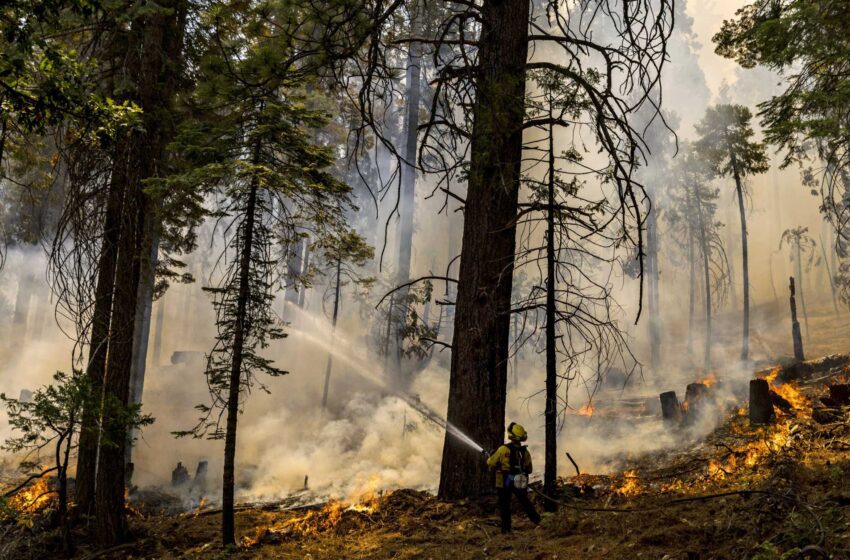  Los equipos ganan en el Parque Nacional de Yosemite, los incendios forestales de California