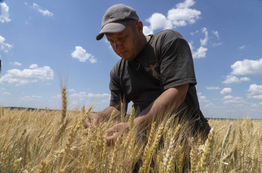  Los militares rusos y ucranianos discuten la liberación de las exportaciones de grano