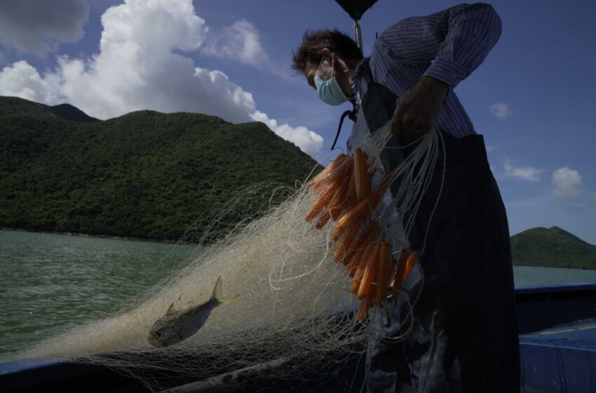  Los pescadores de Hong Kong mantienen las viejas costumbres, 25 años después del traspaso