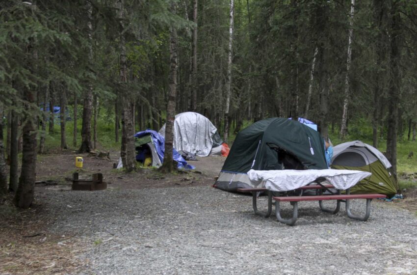  Mueren 4 osos en un camping de Alaska reservado para personas sin hogar