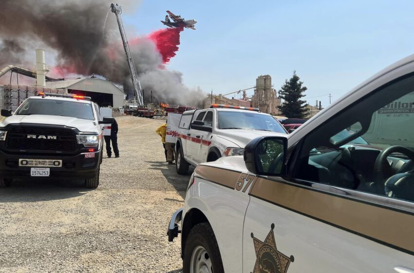  Pérdida total”: Un incendio destruye un aserradero del norte de California en el condado de Amador