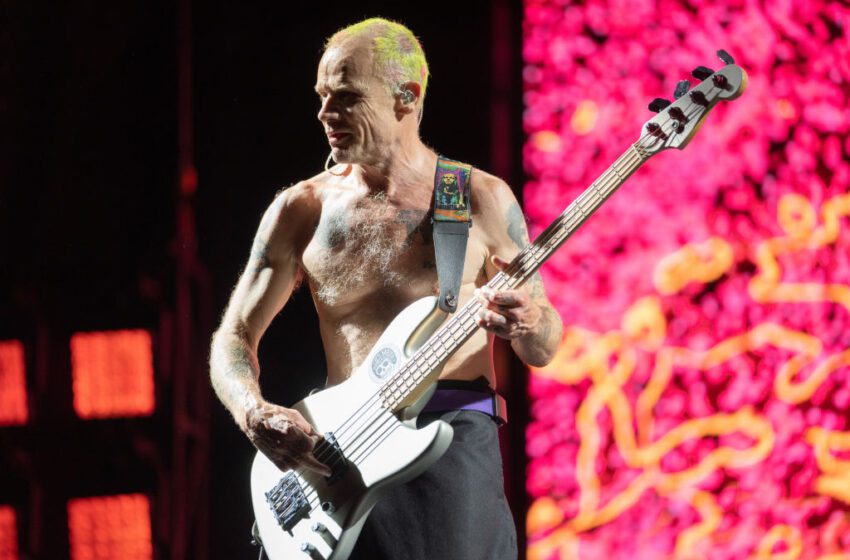  Los Red Hot Chili Peppers trollean a los fanáticos de los Warriors en el show del Área de la Bahía