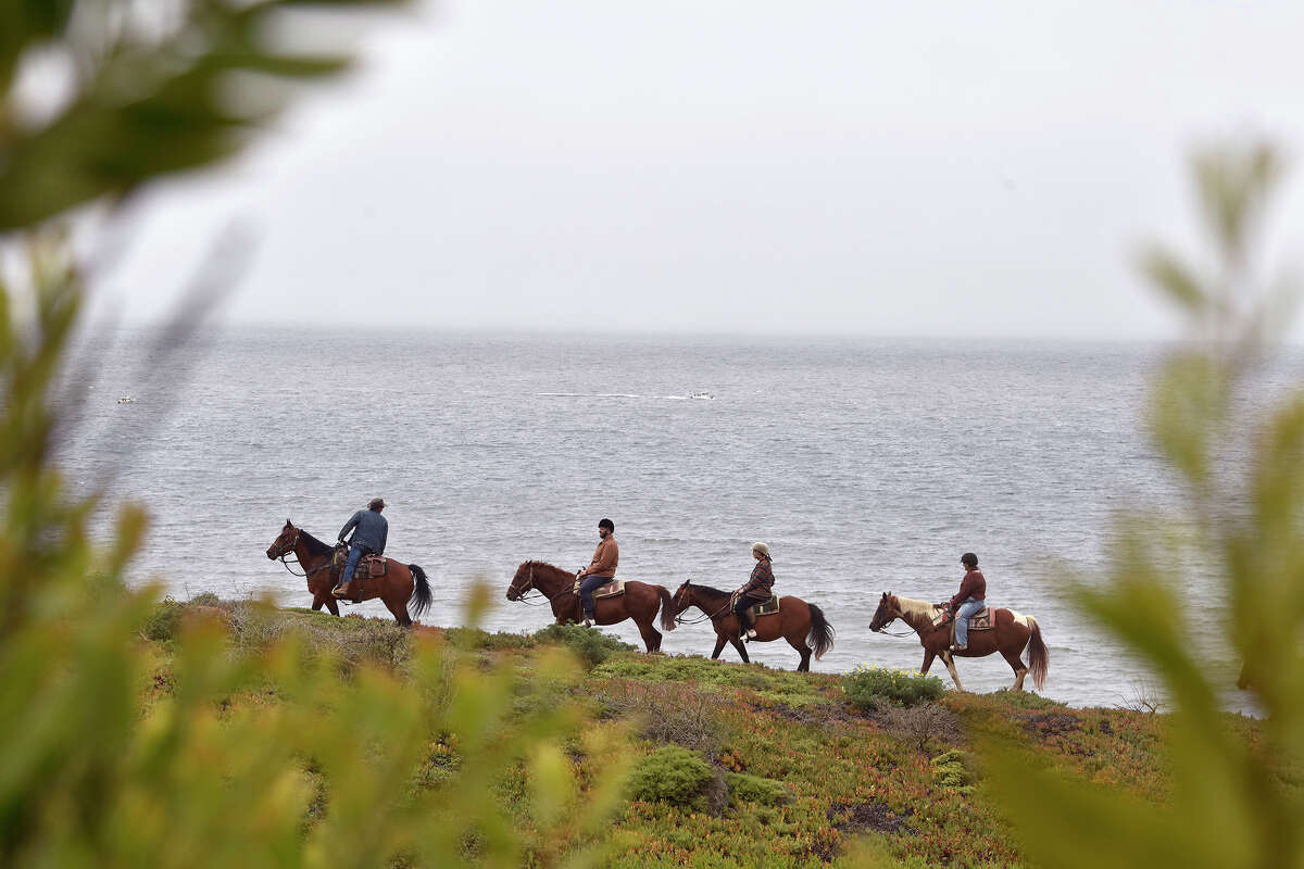 Un paseo a caballo por Fort Funston desde Mar Vista Stables el viernes 29 de julio. 