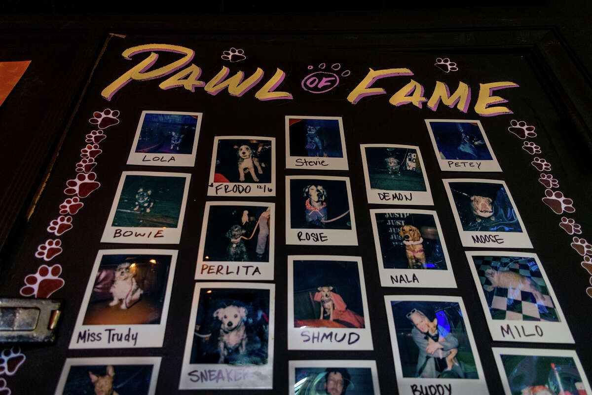 El Trinquete de la Fama en la pared noreste deMadrone Art Bar exhibe lo mejor de sus mascotas a lo largo de los años en el famoso bar de San Francisco, como se vio el 26 de julio de 2022.