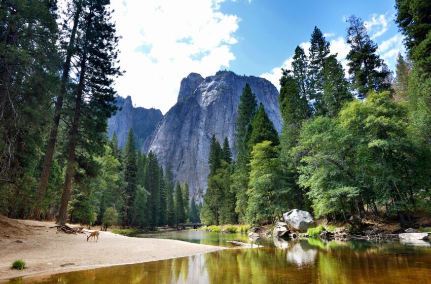  Escalador profesional de California acusado de agresión sexual en Yosemite
