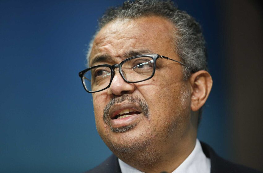  Etiopía califica de “poco éticos” los comentarios del jefe de la OMS sobre Tigray