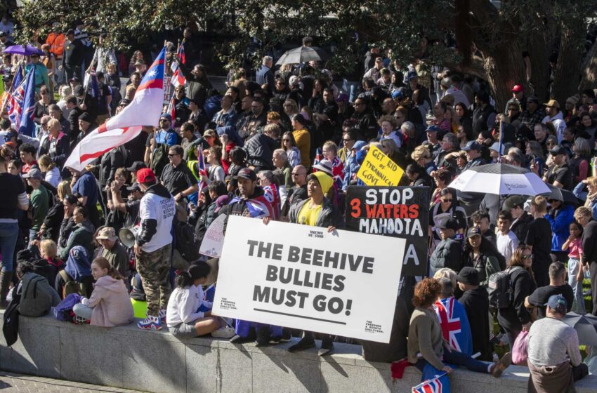  Los manifestantes contra el mandato convergen en el Parlamento de Nueva Zelanda