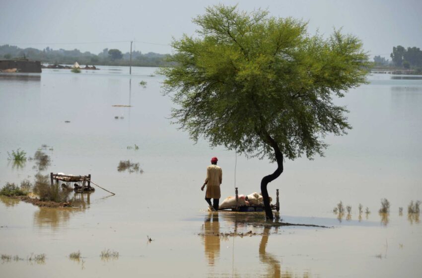  Se acercan a 1.000 los muertos por las inundaciones en un Pakistán bañado por el monzón
