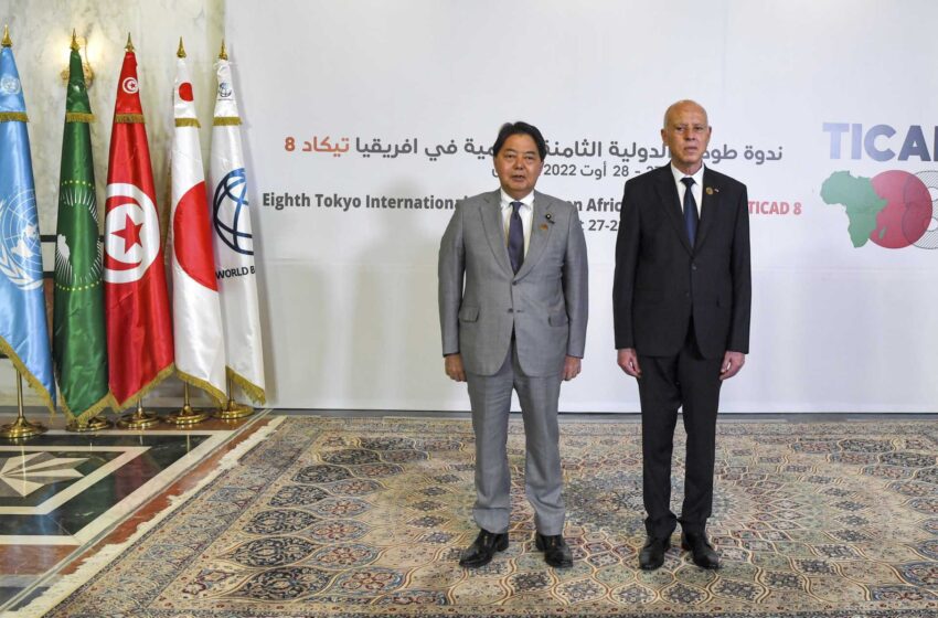  Túnez acoge una reunión de cooperación económica entre Japón y África