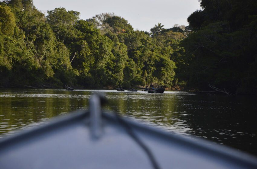  Un tribunal brasileño reabre el caso del parque de la selva tropical