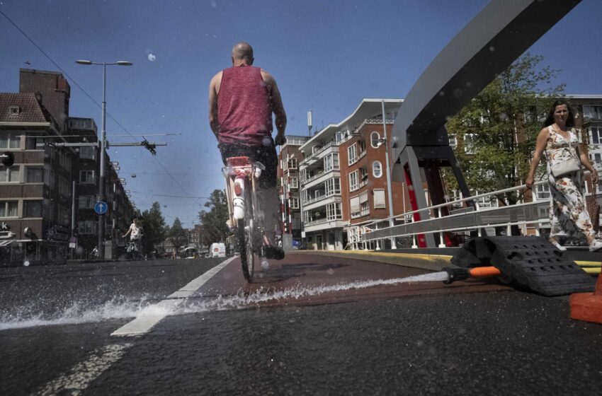  Verano caluroso y seco: El gobierno holandés declara la escasez de agua