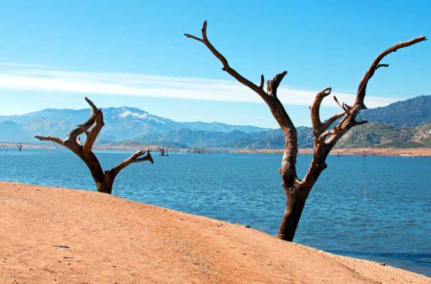  A medida que bajan los niveles de agua en el lago Isabella de California, resurge un pueblo fantasma del lejano oeste