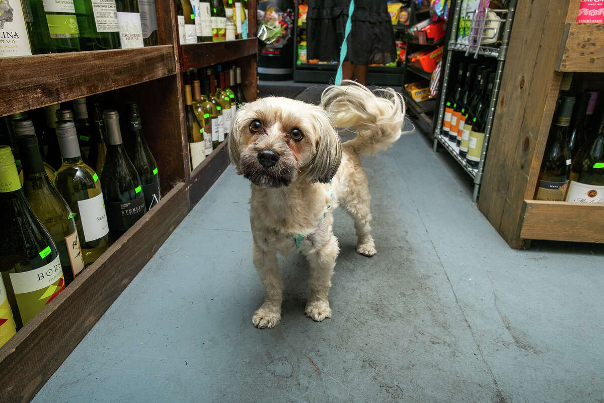 El Sr. Finney, un cliente habitual de McBaker Market & Deli, viene a almorzar y tomar sus bebidas favoritas a la hora del vino el viernes 12 de agosto de 2022 por la tarde. Prefiere un tinto de cuerpo completo, pero definitivamente no Merlot.