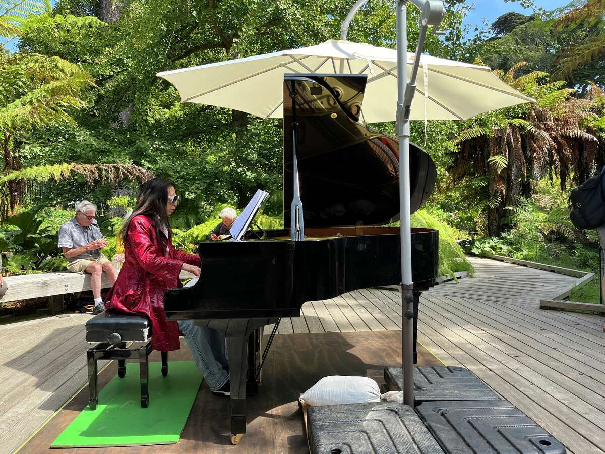 Jazz Xian toca "Fur Elise" en el Ancient Plant Garden en el Golden Gate Park el 16 de septiembre de 2022.