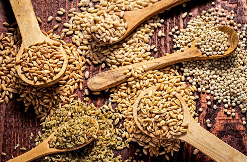  Cómo cocinar con cebada, farro, trigo, bayas y más cereales integrales