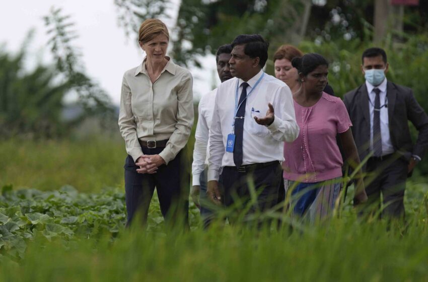  Estados Unidos anuncia una ayuda agrícola de 40 millones de dólares para Sri Lanka