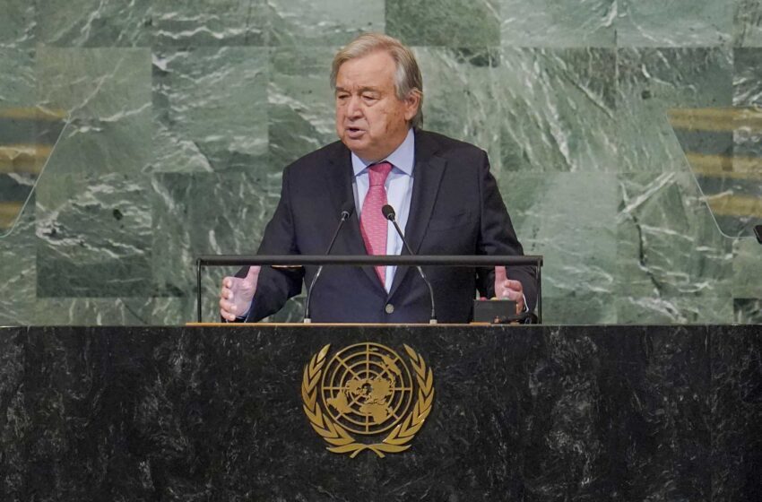  Jefe de la ONU: El mundo está “paralizado” y la equidad se escapa