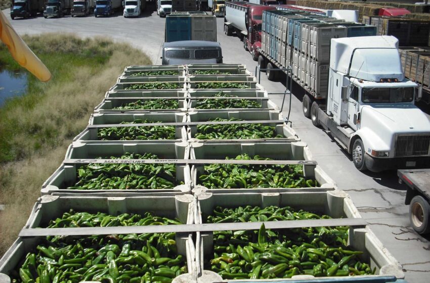  Las inspecciones de las importaciones de chile se intensifican en la frontera de Nuevo México