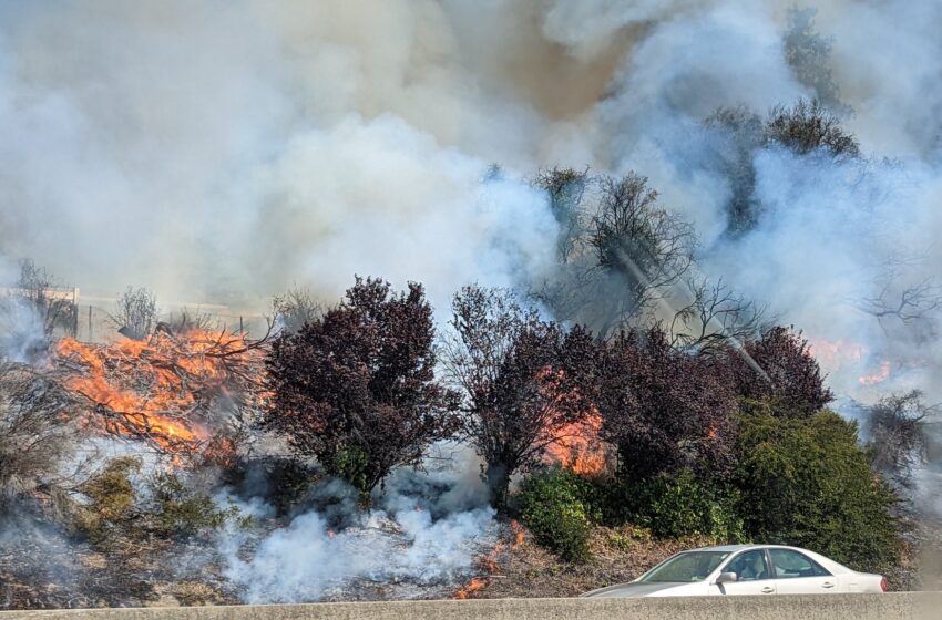  Múltiples casas ardiendo en el incendio de Oakland cerca de la I-580