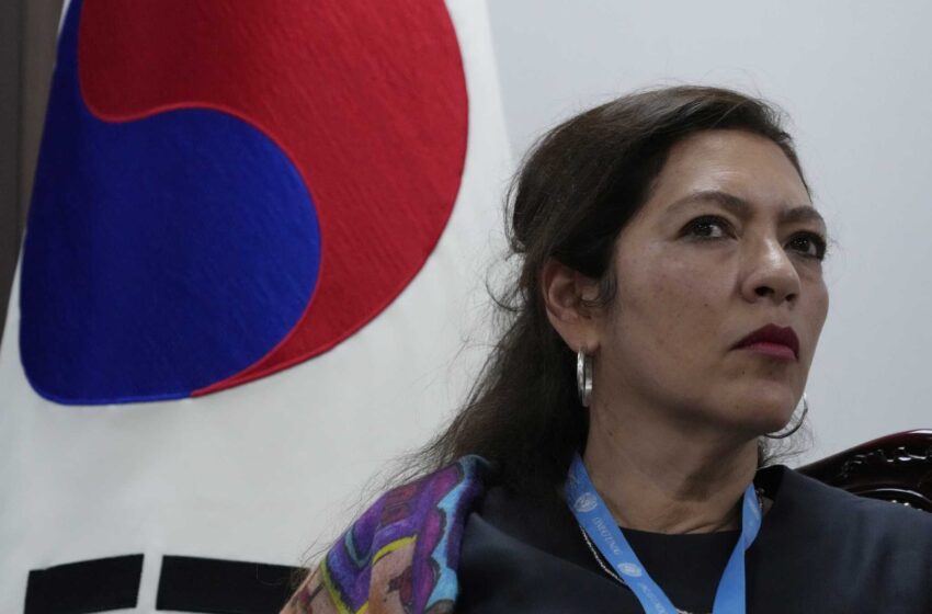  N. Corea del Sur califica de “títere” de EEUU al observador de la ONU sobre sus derechos