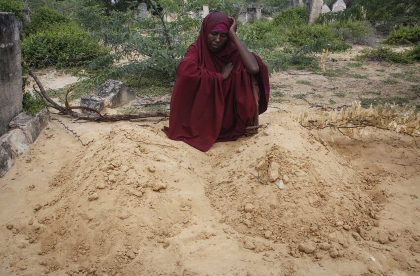  ONU: Se necesitan al menos 1.000 millones de dólares para evitar la hambruna en Somalia