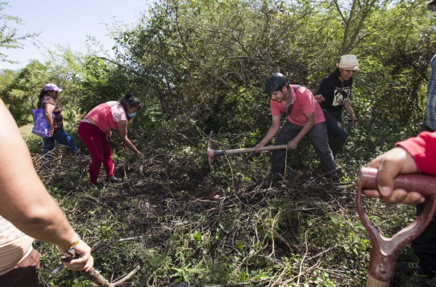  Tercer activista voluntario de búsqueda de tumbas asesinado en México