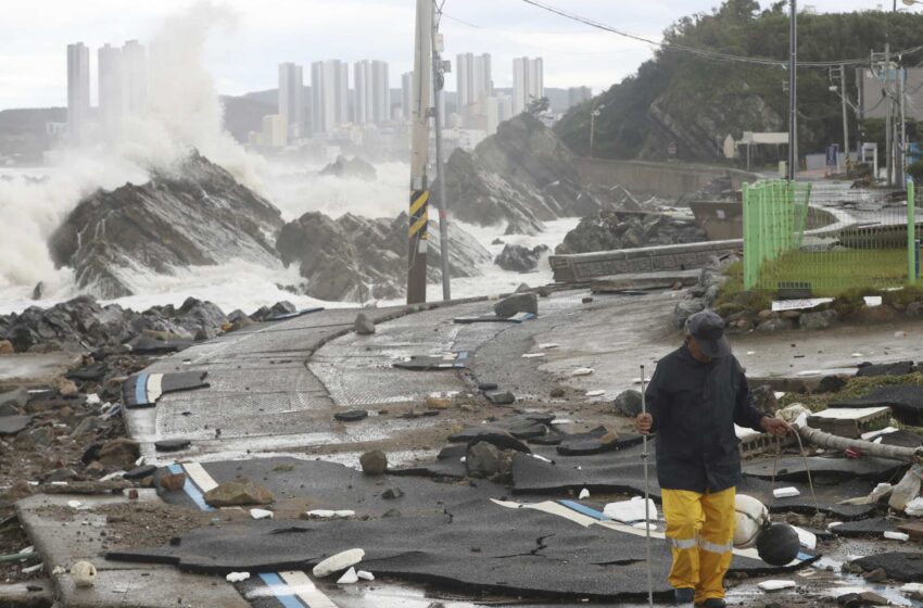  Un tifón golpea Corea del Sur con 1 metro de lluvia y vientos dañinos