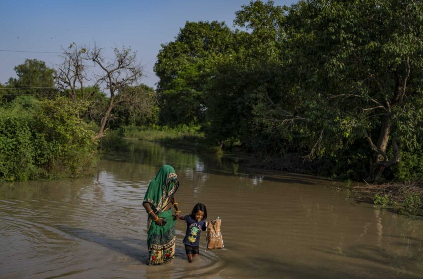  AP PHOTOS: En Delhi, los migrantes son golpeados repetidamente por las inundaciones