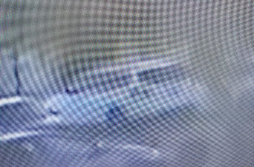 CHP pide ayuda para identificar al conductor que atropelló a un niño de 6 años en East Bay