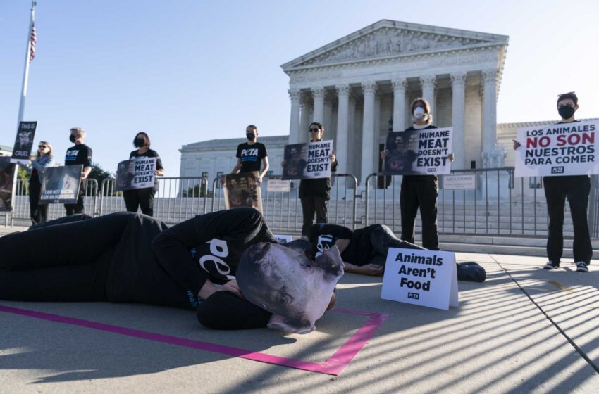  El alto tribunal sopesa la ley de California sobre los cerdos y los precios del cerdo