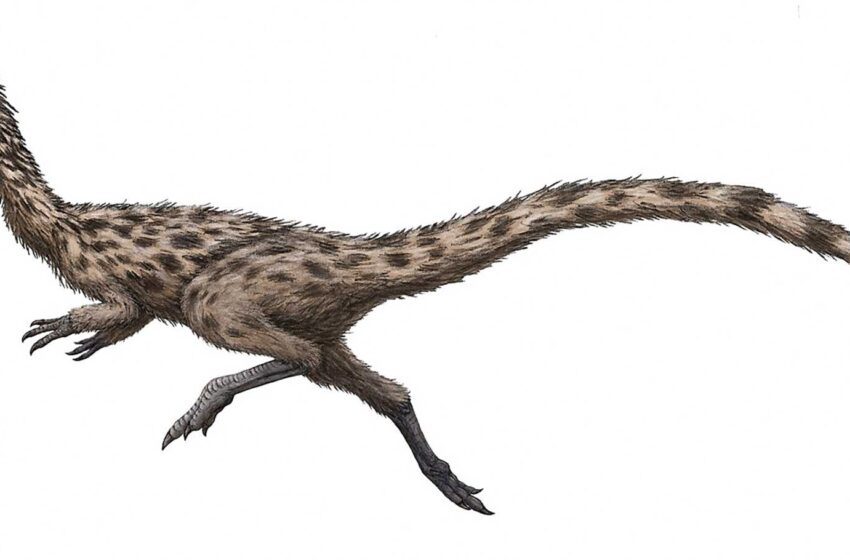  El ‘lagarto de patas rápidas’ es nombrado dinosaurio del estado de Massachusetts