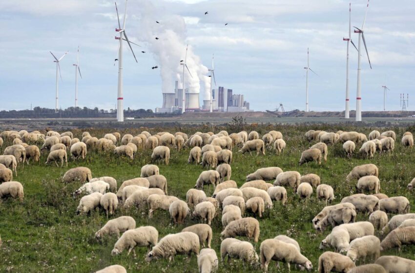  El líder alemán advierte del “renacimiento mundial” del carbón