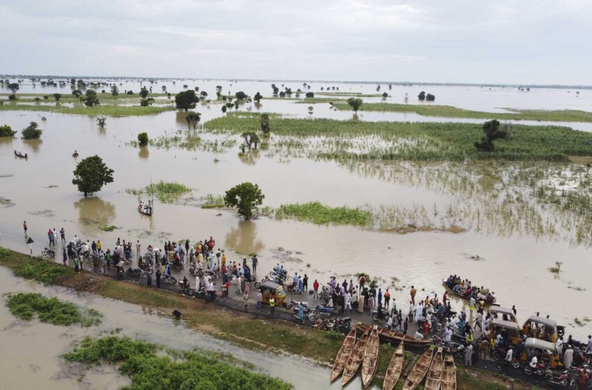  Las inundaciones en África Occidental destruyen las cosechas y agravan el temor al hambre