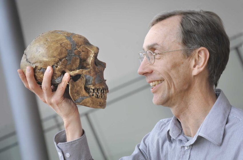  Nobel para el sueco que desveló los secretos del ADN neandertal