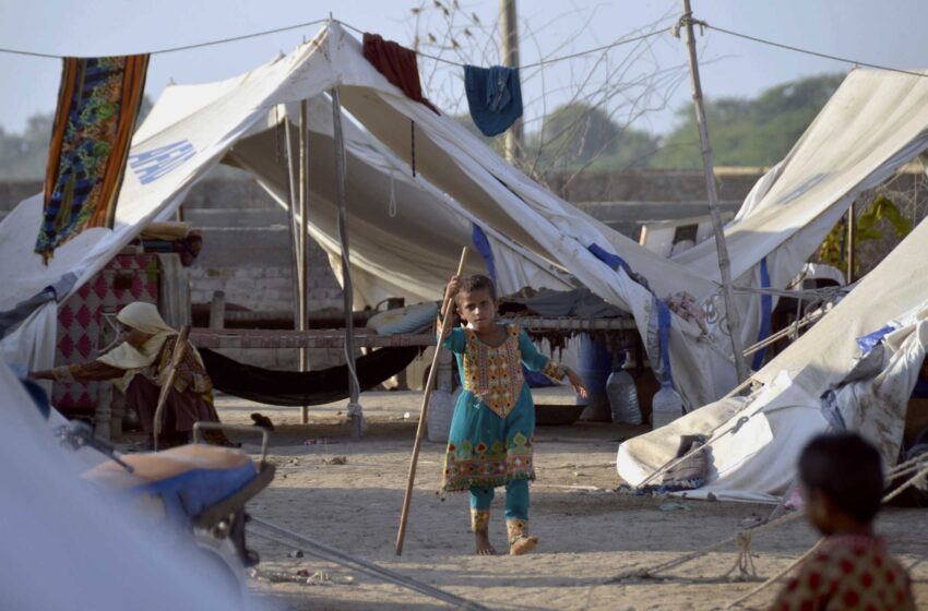  ONU: 5,7 millones de víctimas de las inundaciones en Pakistán se enfrentan a una crisis alimentaria